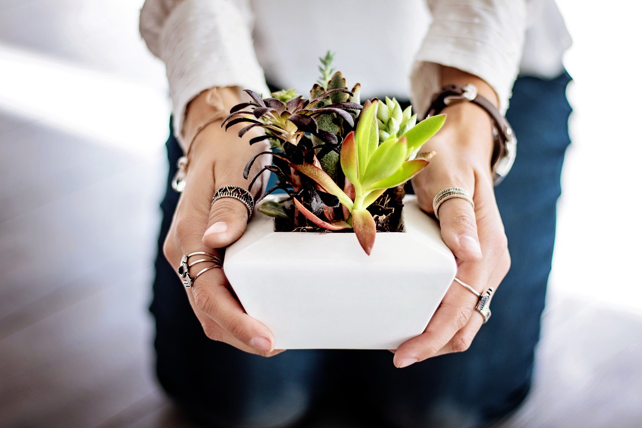 woman holding a plants